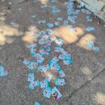 Eleições Municipais de Paulínia 2024 (1)