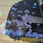 Eleições Municipais de Paulínia 2024 (17)