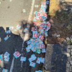 Eleições Municipais de Paulínia 2024 (4)