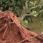 parque zeca malavazzi em paulinia (1)