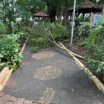 parque zeca malavazzi em paulinia (2)