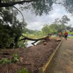 parque zeca malavazzi em paulinia (4)