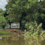 parque zeca malavazzi em paulinia (6)