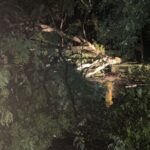 chuva-em-paulinia-19-de-fevereiro-de-2024