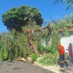 chuvas-19-fevereiro-2025 (1)