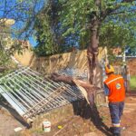 chuvas-19-fevereiro-2025 (2)