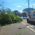 chuvas-19-fevereiro-2025 (4)